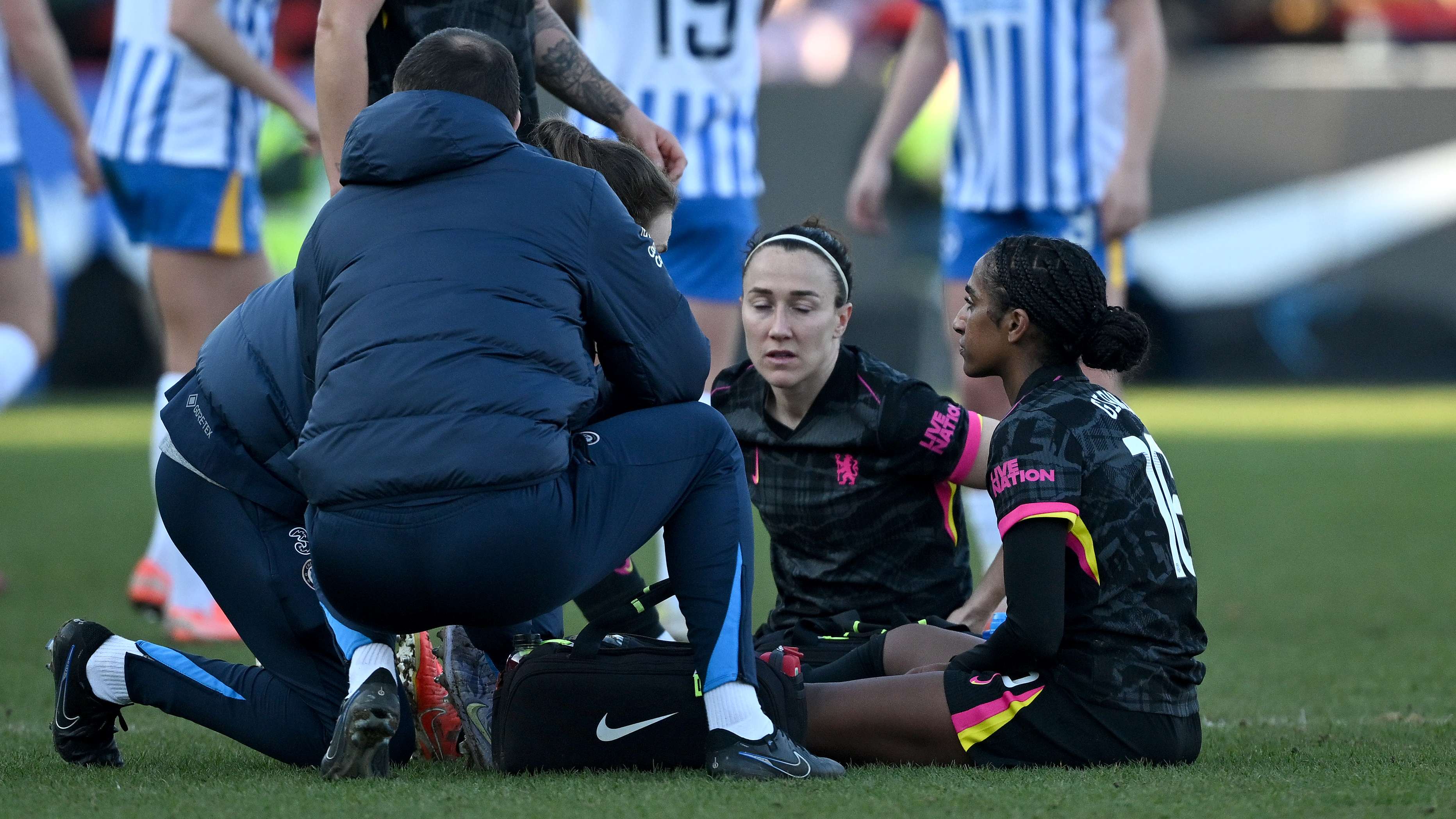 树立了榜样 树立了榜样