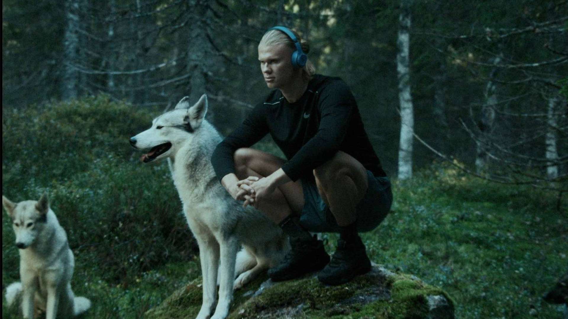 鲁能仍以 鲁能仍以